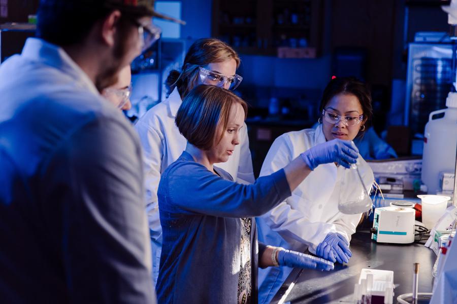 Students working in 生物学 Lab