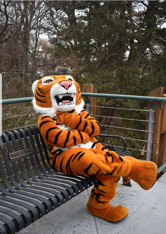 Trey Porter holds a thinking pose — with his right hand on his chin and his elbow in his left hand — while wearing the Thomas the Tiger mascot costume.